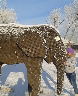 Елена — фото 11